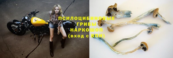 мяу мяу мука Алексин