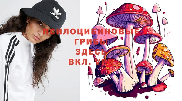 СК Алзамай
