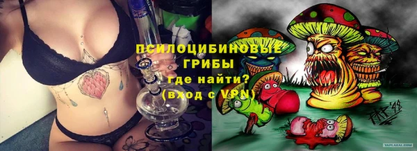 PSILOCYBIN Протвино