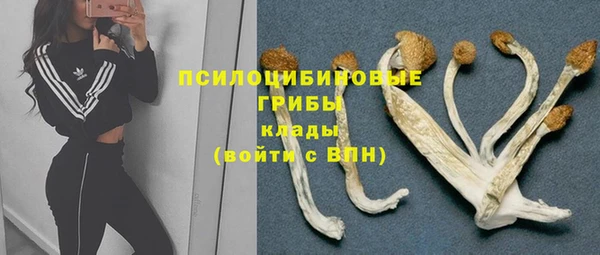мяу мяу мука Алексин
